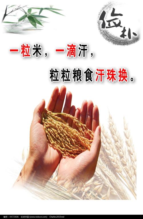 买假奎恩斯大学文凭